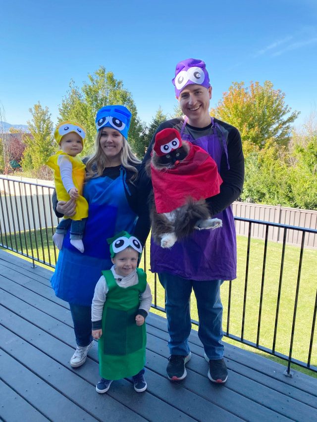 4 Costumes Ideas for Cats