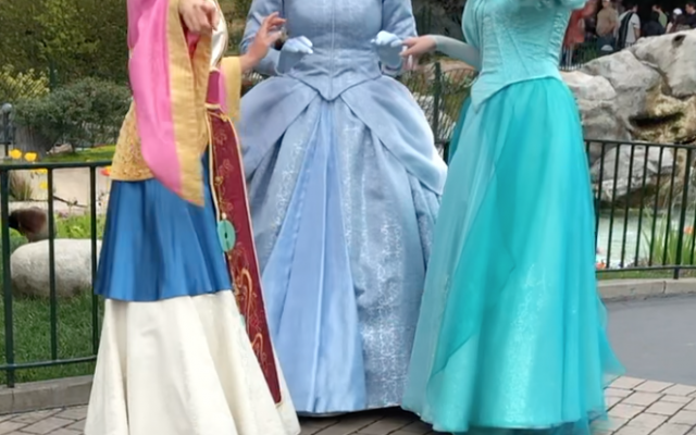 5 Cool Character Sightings At Disneyland