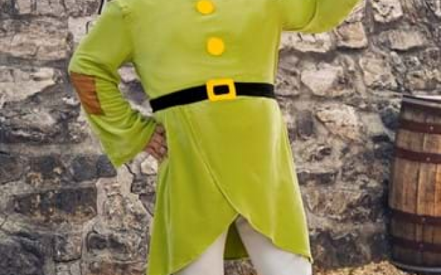 5 Plus Size Disney Costumes For Men